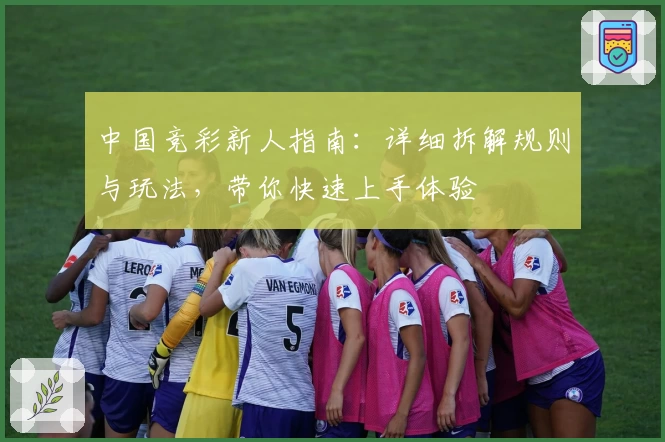 中国竞彩新人指南：详细拆解规则与玩法，带你快速上手体验