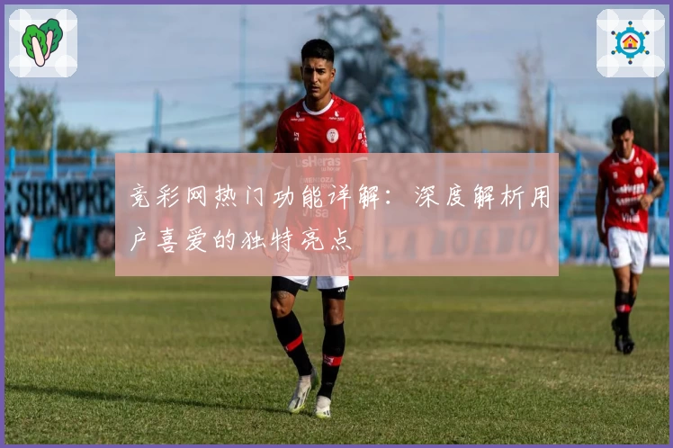 竞彩网热门功能详解：深度解析用户喜爱的独特亮点