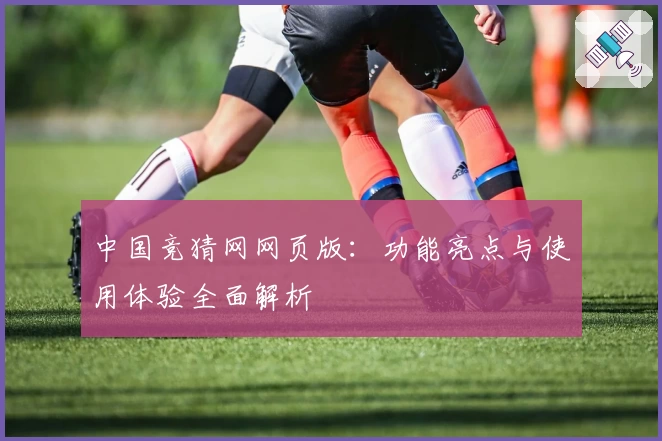 中国竞猜网网页版：功能亮点与使用体验全面解析